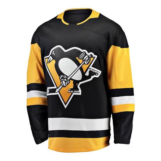 Ice hockey jersey (AH-2347)